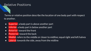 Relative Positions
Terms or relative position describe the location of one body part with respect
to another.
● Superior: a body part is above another part
● Inferior: a body part is below another part
● Anterior: toward the front
● Posterior: toward the back
● Medial: refers to the middle or closer to midline; equal right and left halves
● Lateral: towards the side, away from the midline
 
