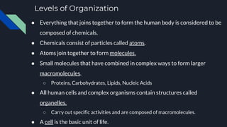 Levels of Organization
● Everything that joins together to form the human body is considered to be
composed of chemicals.
● Chemicals consist of particles called atoms.
● Atoms join together to form molecules.
● Small molecules that have combined in complex ways to form larger
macromolecules.
○ Proteins, Carbohydrates, Lipids, Nucleic Acids
● All human cells and complex organisms contain structures called
organelles.
○ Carry out specific activities and are composed of macromolecules.
● A cell is the basic unit of life.
 