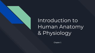 Introduction to
Human Anatomy
& Physiology
Chapter 1
 