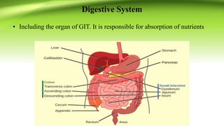 Digestive System
• Including the organ of GIT. It is responsible for absorption of nutrients
 