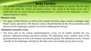 Body Cavities
• The cavities, or spaces, of the body contain the internal organs, or viscera. The two main
cavities are called the ventral and dorsal cavities. The ventral is the larger cavity and is
subdivided into two parts (thoracic and abdominopelvic cavities) by the diaphragm, a dome-
shaped respiratory muscle.
Thoracic cavity
• The upper ventral, thoracic, or chest cavity contains the heart, lungs, trachea, esophagus, large
blood vessels, and nerves. The thoracic cavity is bound laterally by the ribs (covered by costal
pleura) and the diaphragm caudally (covered by diaphragmatic pleura).
Abdominal and pelvic cavity
• The lower part of the ventral (abdominopelvic) cavity can be further divided into two
portions: abdominal portion and pelvic portion. The abdominal cavity contains most of the
gastrointestinal tract as well as the kidneys and adrenal glands. The abdominal cavity is bound
cranially by the diaphragm, laterally by the body wall, and caudally by the pelvic cavity.
 
