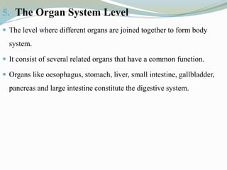 5. The Organ System Level
 The level where different organs are joined together to form body
system.
 It consist of several related organs that have a common function.
 Organs like oesophagus, stomach, liver, small intestine, gallbladder,
pancreas and large intestine constitute the digestive system.
 