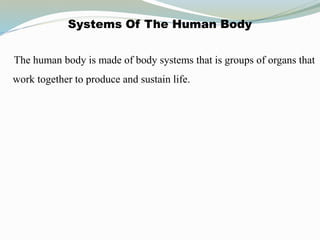Systems Of The Human Body
The human body is made of body systems that is groups of organs that
work together to produce and sustain life.
 