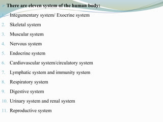  There are eleven system of the human body:
1. Integumentary system/ Exocrine system
2. Skeletal system
3. Muscular system
4. Nervous system
5. Endocrine system
6. Cardiovascular system/circulatory system
7. Lymphatic system and immunity system
8. Respiratory system
9. Digestive system
10. Urinary system and renal system
11. Reproductive system
 