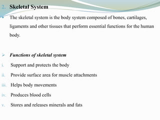 2. Skeletal System
 The skeletal system is the body system composed of bones, cartilages,
ligaments and other tissues that perform essential functions for the human
body.
 Functions of skeletal system
i. Support and protects the body
ii. Provide surface area for muscle attachments
iii. Helps body movements
iv. Produces blood cells
v. Stores and releases minerals and fats
 
