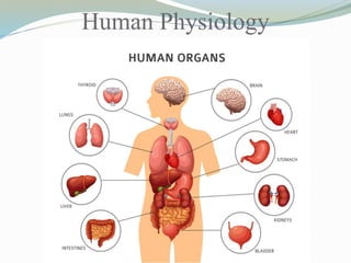Human Physiology
 