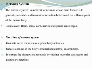 4. Nervous System
 The nervous system is a network of neurons whose main feature is to
generate, modulate and transmit information between all the different parts
of the human body.
 Components: Brain, spinal cord, nerves and special sense organ.
 Functions of nervous system
i. Generate nerve impulses to regulate body activities.
ii. Detects changes in the body’s internal and external environment.
iii. Interprets the changes and responds by causing muscular contraction and
glandular secretions.
 