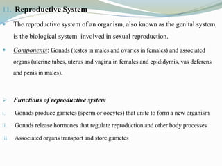 11. Reproductive System
 The reproductive system of an organism, also known as the genital system,
is the biological system involved in sexual reproduction.
 Components: Gonads (testes in males and ovaries in females) and associated
organs (uterine tubes, uterus and vagina in females and epididymis, vas deferens
and penis in males).
 Functions of reproductive system
i. Gonads produce gametes (sperm or oocytes) that unite to form a new organism
ii. Gonads release hormones that regulate reproduction and other body processes
iii. Associated organs transport and store gametes
 
