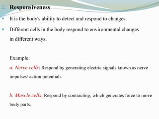 2. Responsiveness
 It is the body's ability to detect and respond to changes.
 Different cells in the body respond to environmental changes
in different ways.
Example:
a. Nerve cells: Respond by generating electric signals known as nerve
impulses/ action potentials
b. Muscle cells: Respond by contracting, which generates force to move
body parts.
 