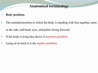 Anatomical terminology
 Body positions
 The standard position in which the body is standing with feet together, arms
to the side, and head, eyes, and palms facing forward.
 If the body is lying face down, it is prone position.
 Lying on its back it is the supine position.
 
