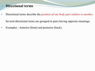  Directional terms
 Directional terms describe the position of one body part relative to another.
Several directional terms are grouped in pairs having opposite meanings.
 Examples : Anterior (front) and posterior (back).
 