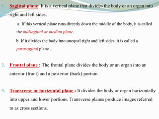 1. Sagittal plane: It is a vertical plane that divides the body or an organ into
right and left sides.
a. If this vertical plane runs directly down the middle of the body, it is called
the midsagittal or median plane.
b. If it divides the body into unequal right and left sides, it is called a
parasagittal plane .
2. Frontal plane : The frontal plane divides the body or an organ into an
anterior (front) and a posterior (back) portion.
3. Transverse or horizontal plane : It divides the body or organ horizontally
into upper and lower portions. Transverse planes produce images referred
to as cross sections.
 
