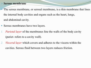  Serous membrane
 The serous membrane, or serosal membrane, is a thin membrane that lines
the internal body cavities and organs such as the heart, lungs,
and abdominal cavity.
 Serous membranes have two layers.
1. Parietal layer of the membranes line the walls of the body cavity
(pariet- refers to a cavity wall).
2. Visceral layer which covers and adheres to the viscera within the
cavities. Serous fluid between two layers reduces friction.
 