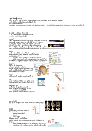 Human Body Anatomy Assignment.pdf introduction to human body.pdf
