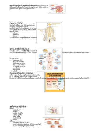 introduction to human body.pdf