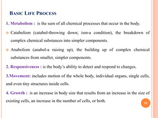 BASIC LIFE PROCESS
1. Metabolism : is the sum of all chemical processes that occur in the body.
 Catabolism (catabol-throwing down; ism-a condition), the breakdown of
complex chemical substances into simpler components.
 Anabolism (anabol-a raising up), the building up of complex chemical
substances from smaller, simpler components.
2. Responsiveness : is the body’s ability to detect and respond to changes.
3.Movement: includes motion of the whole body, individual organs, single cells,
and even tiny structures inside cells.
4. Growth : is an increase in body size that results from an increase in the size of
existing cells, an increase in the number of cells, or both. 11
 