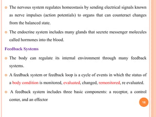  The nervous system regulates homeostasis by sending electrical signals known
as nerve impulses (action potentials) to organs that can counteract changes
from the balanced state.
 The endocrine system includes many glands that secrete messenger molecules
called hormones into the blood.
Feedback Systems
 The body can regulate its internal environment through many feedback
systems.
 A feedback system or feedback loop is a cycle of events in which the status of
a body condition is monitored, evaluated, changed, remonitored, re evaluated.
 A feedback system includes three basic components: a receptor, a control
center, and an effector
16
 
