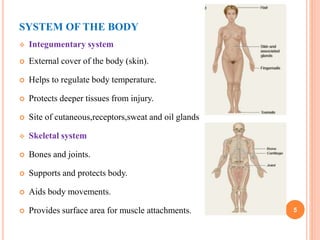 SYSTEM OF THE BODY
 Integumentary system
 External cover of the body (skin).
 Helps to regulate body temperature.
 Protects deeper tissues from injury.
 Site of cutaneous,receptors,sweat and oil glands
 Skeletal system
 Bones and joints.
 Supports and protects body.
 Aids body movements.
 Provides surface area for muscle attachments. 5
 