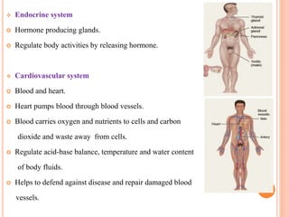  Endocrine system
 Hormone producing glands.
 Regulate body activities by releasing hormone.
 Cardiovascular system
 Blood and heart.
 Heart pumps blood through blood vessels.
 Blood carries oxygen and nutrients to cells and carbon
dioxide and waste away from cells.
 Regulate acid-base balance, temperature and water content
of body fluids.
 Helps to defend against disease and repair damaged blood
vessels.
7
 