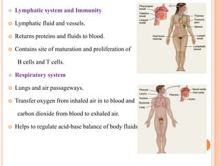  Lymphatic system and Immunity
 Lymphatic fluid and vessels.
 Returns proteins and fluids to blood.
 Contains site of maturation and proliferation of
B cells and T cells.
 Respiratory system
 Lungs and air passageways.
 Transfer oxygen from inhaled air in to blood and
carbon dioxide from blood to exhaled air.
 Helps to regulate acid-base balance of body fluids.
8
 