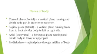 The human body is a complex, organized structure made up of various ...