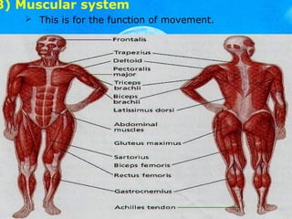 Introduction to human body | PPT