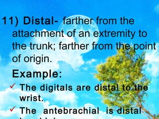 Introduction to human body | PPT