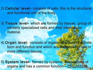 Introduction to human body | PPT