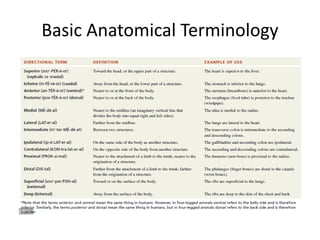 Basic Anatomical Terminology
 