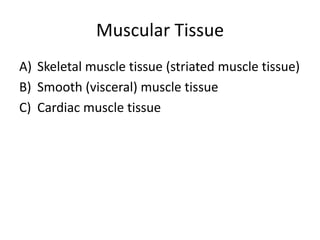 Muscular Tissue
A) Skeletal muscle tissue (striated muscle tissue)
B) Smooth (visceral) muscle tissue
C) Cardiac muscle tissue
 