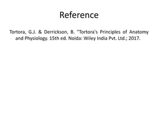 Reference
Tortora, G.J. & Derrickson, B. "Tortora's Principles of Anatomy
and Physiology. 15th ed. Noida: Wiley India Pvt. Ltd.; 2017.
 