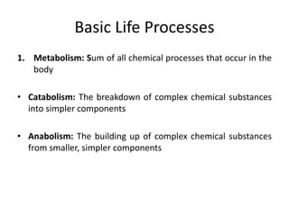 Basic Life Processes
1. Metabolism: Sum of all chemical processes that occur in the
body
• Catabolism: The breakdown of complex chemical substances
into simpler components
• Anabolism: The building up of complex chemical substances
from smaller, simpler components
 