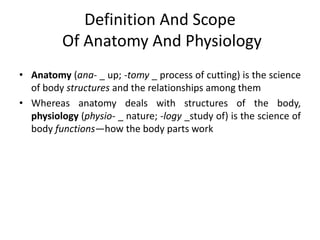 Definition And Scope
Of Anatomy And Physiology
• Anatomy (ana- _ up; -tomy _ process of cutting) is the science
of body st...
