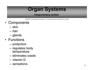 11
Organ Systems
Integumentary system
Copyright © The McGraw-Hill Companies, Inc. Permission required for reproduction or display.
• Components
– skin
– hair
– glands
• Functions
– protection
– regulates body
temperature
– eliminates waste
– vitamin D
– sensations
 