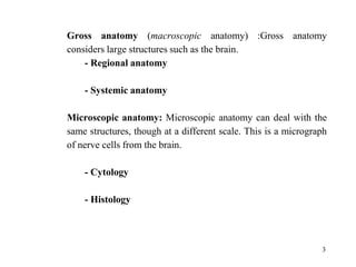 Gross anatomy (macroscopic anatomy) :Gross anatomy
considers large structures such as the brain.
- Regional anatomy
- Systemic anatomy
Microscopic anatomy: Microscopic anatomy can deal with the
same structures, though at a different scale. This is a micrograph
of nerve cells from the brain.
- Cytology
- Histology
3
 