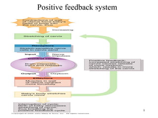 Positive feedback system
34
 