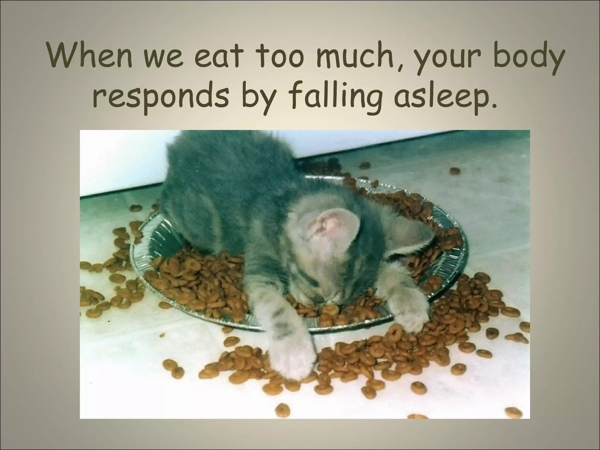 When we eat too much, your body
responds by falling asleep.
 