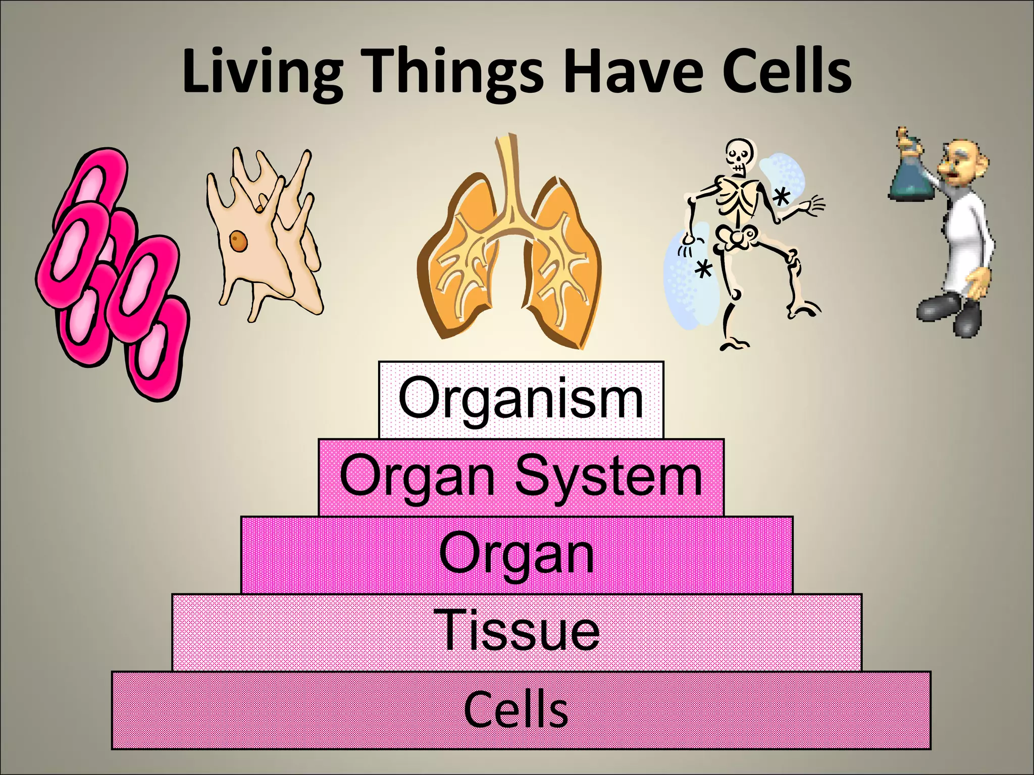 Living Things Have Cells
Cells
Tissue
Organ
Organ System
Organism
 