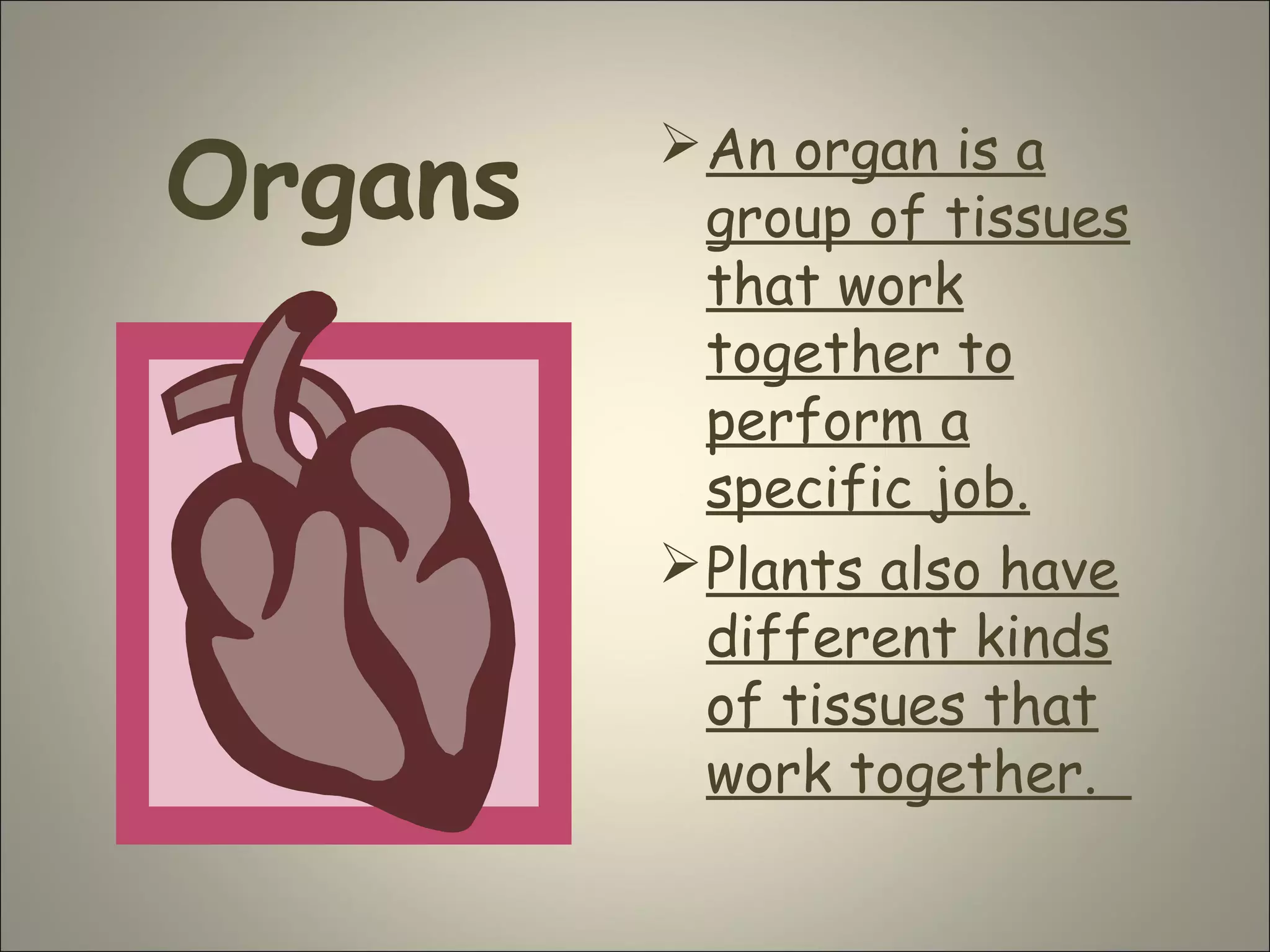 Organs
An organ is a
group of tissues
that work
together to
perform a
specific job.
Plants also have
different kinds
of tissues that
work together.
 