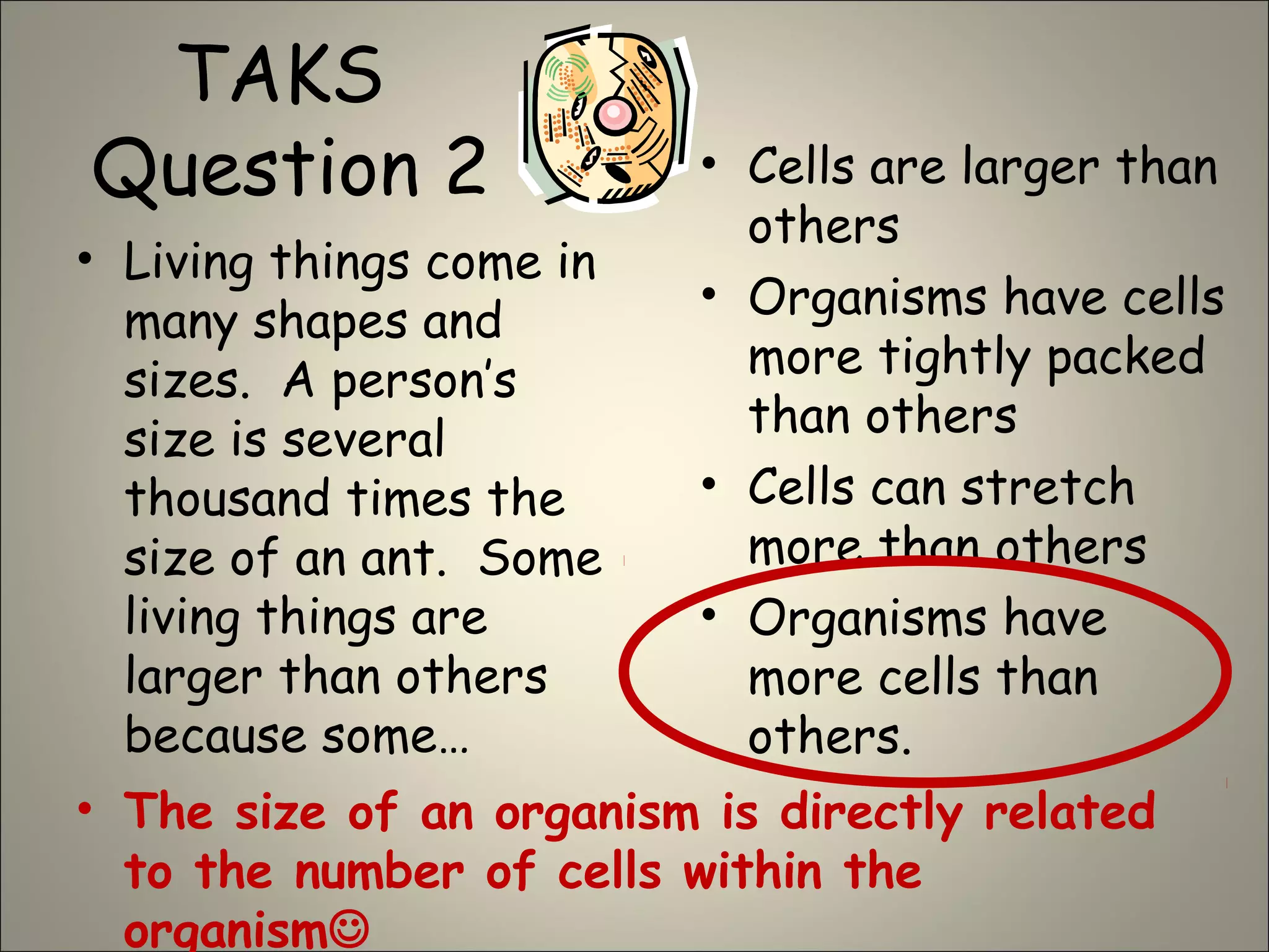 TAKS
Question 2
• Living things come in
many shapes and
sizes. A person’s
size is several
thousand times the
size of an ant. Some
living things are
larger than others
because some…
• Cells are larger than
others
• Organisms have cells
more tightly packed
than others
• Cells can stretch
more than others
• Organisms have
more cells than
others.
• The size of an organism is directly related
to the number of cells within the
organism
 