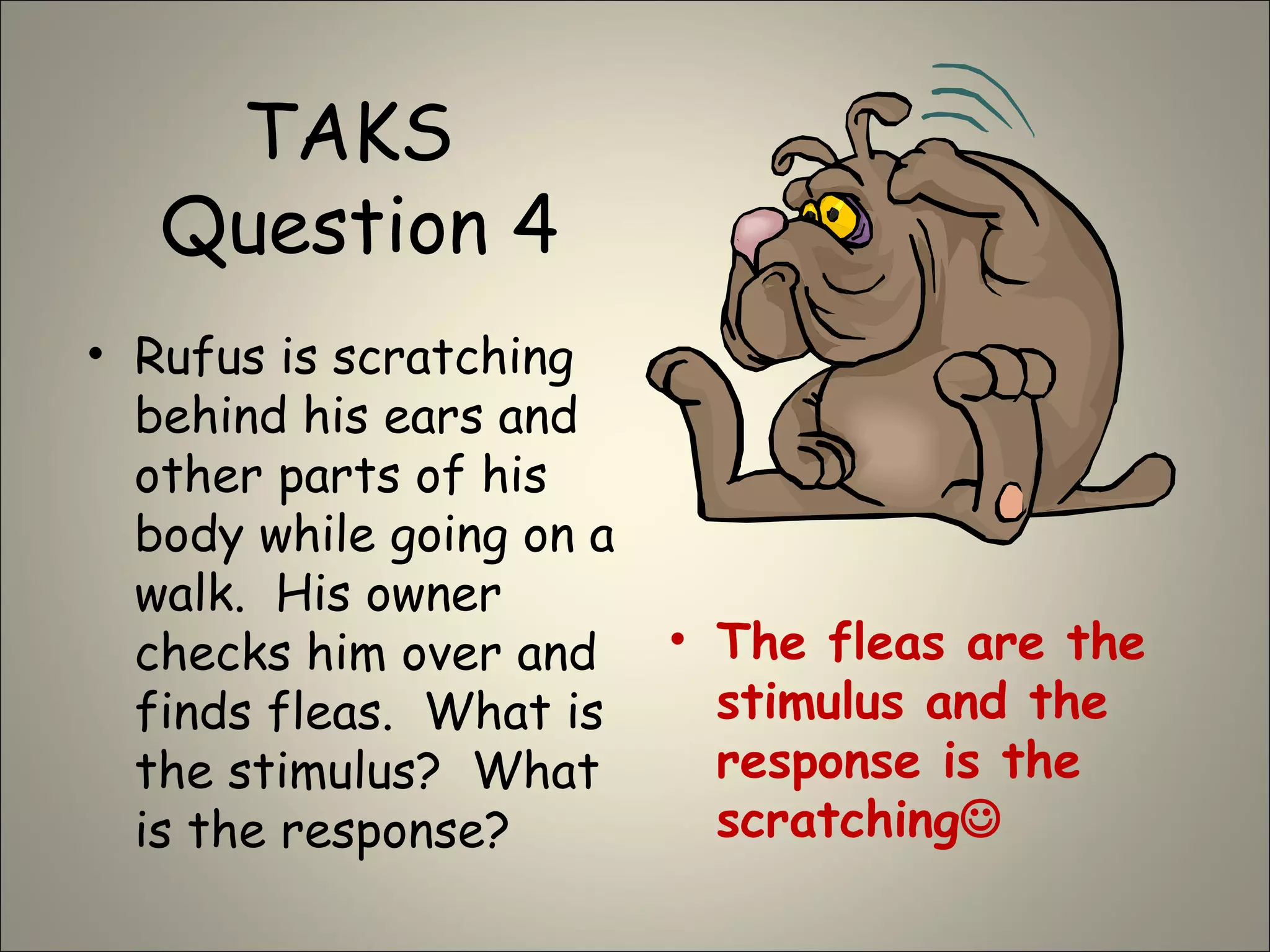 TAKS
Question 4
• Rufus is scratching
behind his ears and
other parts of his
body while going on a
walk. His owner
checks him over and
finds fleas. What is
the stimulus? What
is the response?
• The fleas are the
stimulus and the
response is the
scratching
 
