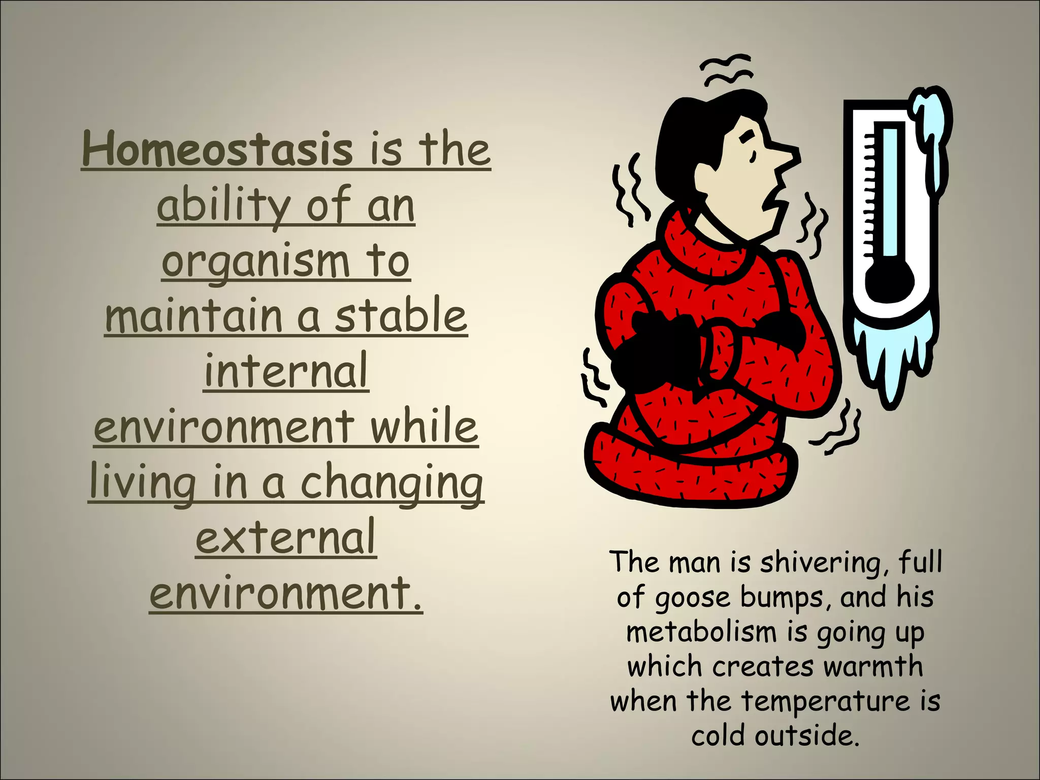 Homeostasis is the
ability of an
organism to
maintain a stable
internal
environment while
living in a changing
external
environment.
The man is shivering, full
of goose bumps, and his
metabolism is going up
which creates warmth
when the temperature is
cold outside.
 