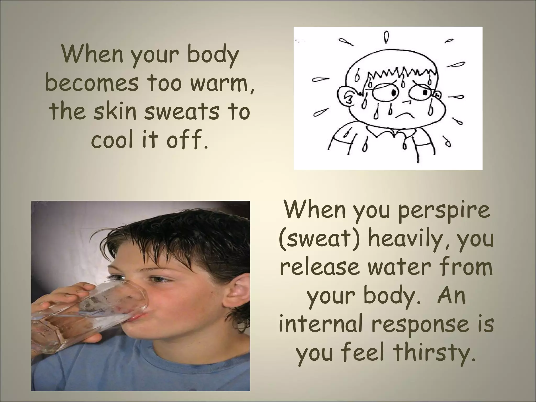 When your body
becomes too warm,
the skin sweats to
cool it off.
When you perspire
(sweat) heavily, you
release water from
your body. An
internal response is
you feel thirsty.
 