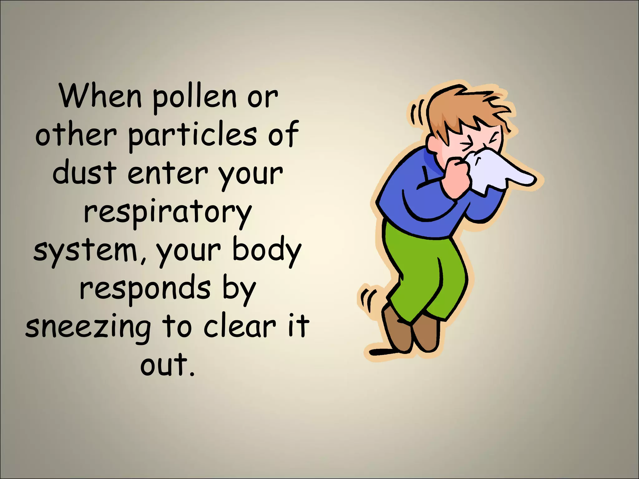 When pollen or
other particles of
dust enter your
respiratory
system, your body
responds by
sneezing to clear it
out.
 