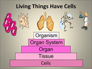 Living Things Have Cells
Cells
Tissue
Organ
Organ System
Organism
 