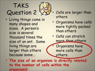 TAKS
Question 2
• Living things come in
many shapes and
sizes. A person’s
size is several
thousand times the
size of an ant. Some
living things are
larger than others
because some…
• Cells are larger than
others
• Organisms have cells
more tightly packed
than others
• Cells can stretch
more than others
• Organisms have
more cells than
others.
• The size of an organism is directly related
to the number of cells within the
organism
 