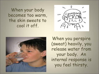 When your body
becomes too warm,
the skin sweats to
cool it off.
When you perspire
(sweat) heavily, you
release water from
your body. An
internal response is
you feel thirsty.
 
