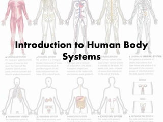 Introduction to Human Body 
Systems 
 