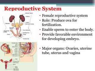 Introduction to Human Body Systems.ppt Unit I | PPT
