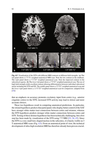 Comprehensive Overview of Human Brain Anatomy and Neuroanatomical ...
